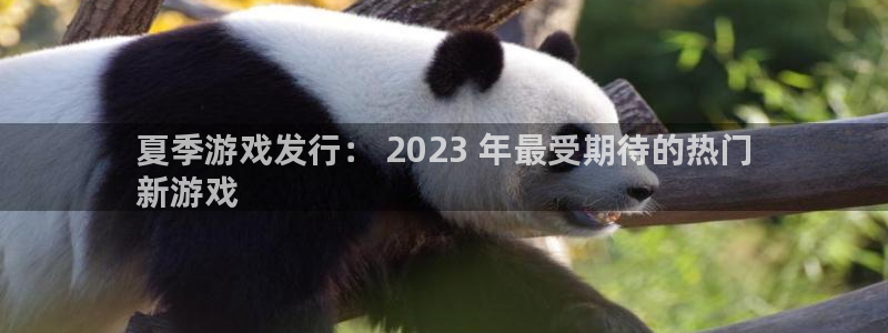 新城平台官网注册流程