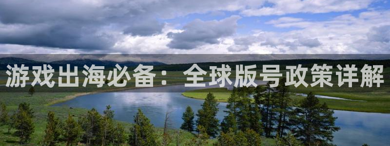 新城平台企业信息查询