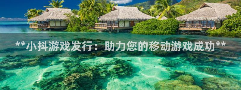 新城平台登录入口官网查询系统