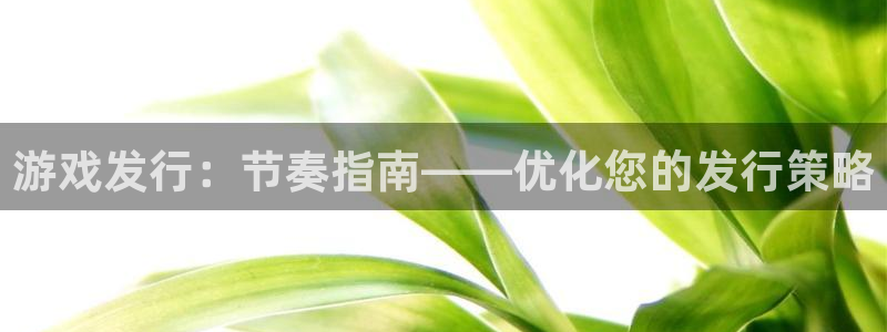 新城平台江7O777