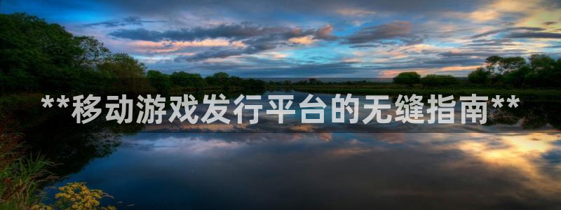 新城平台是干嘛的公司啊