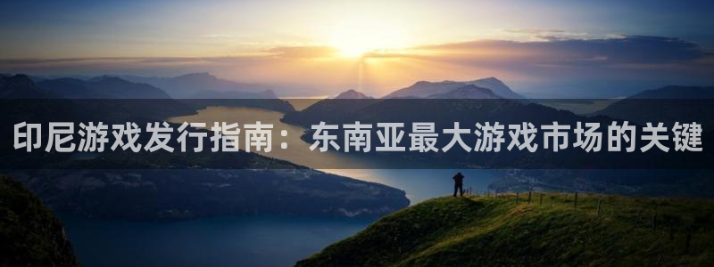 新城平台是干嘛的公司有哪些