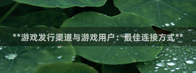 新城平台是干嘛的公司啊