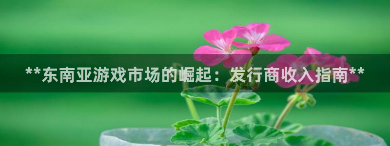 新城平台在线登陆