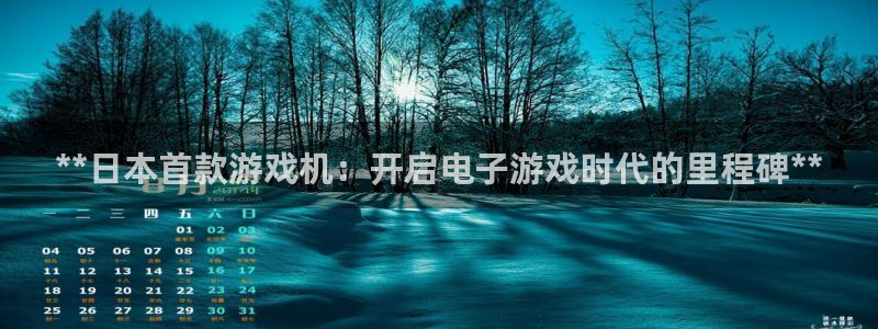 新城平台登录入口官网网址
