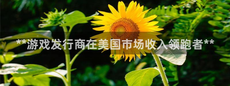 新城平台官网