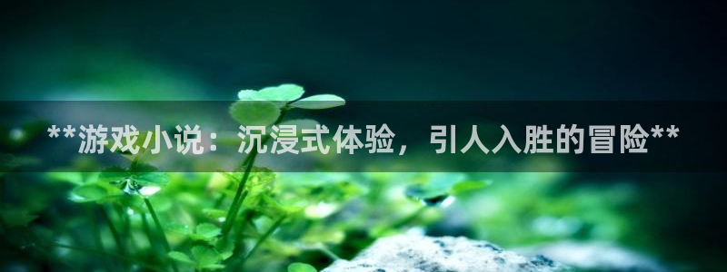 新城平台代理怎么样