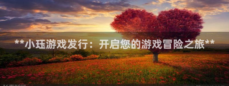 新城平台注册流程及费用