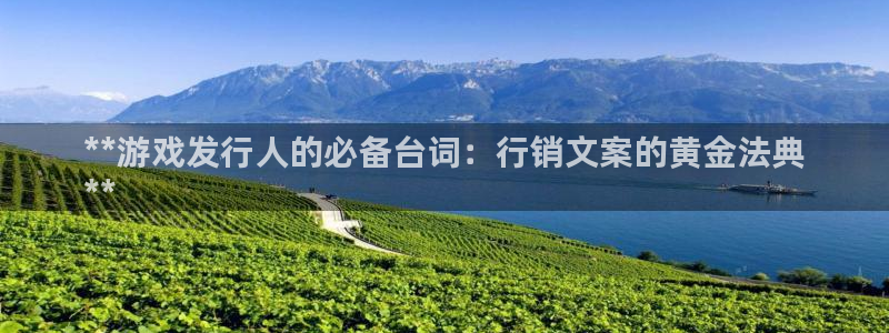 新城平台平台