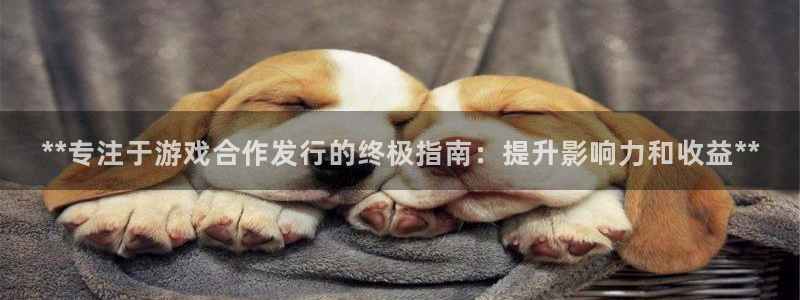 新城平台游戏