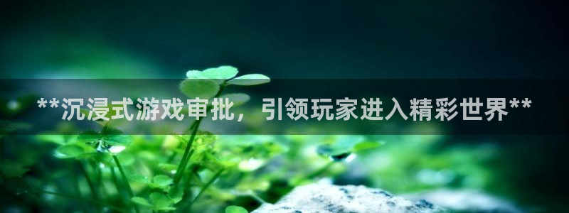 新城平台登陆