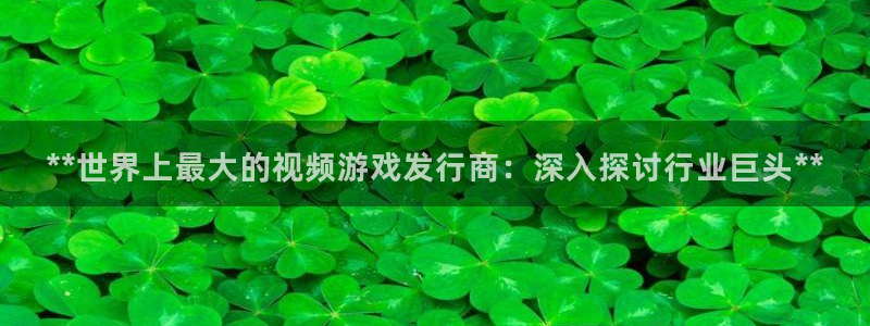 新城平台是干嘛的公司