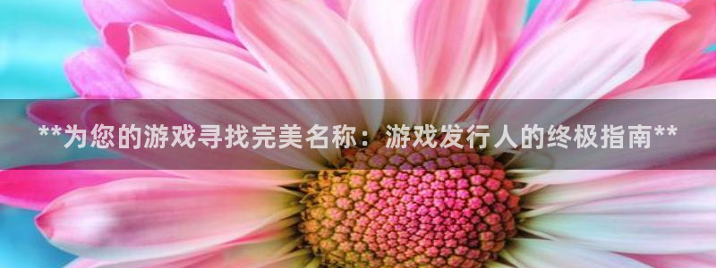 新城平台官网首页