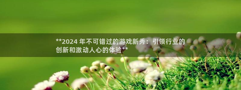 新城平台注册流程图
