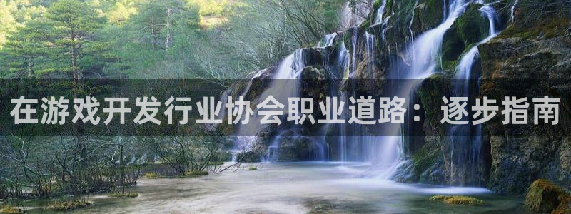 新城平台线路登录不上去了怎么办