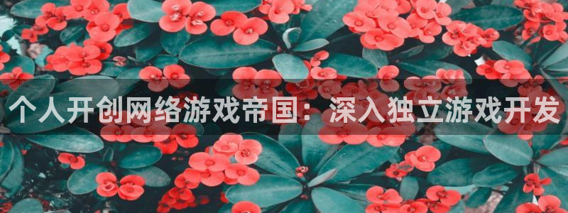 新城平台入.新城平台.全国联网是什么意思