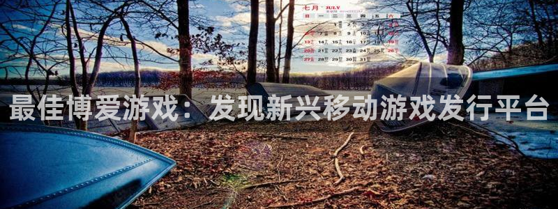 新城平台登录入口官网网址是多少