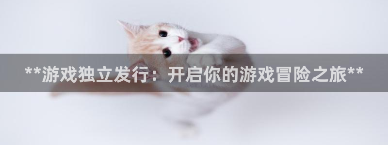 新城平台注册资金多少钱
