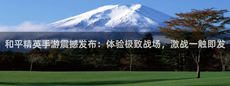 新城平台注册网址