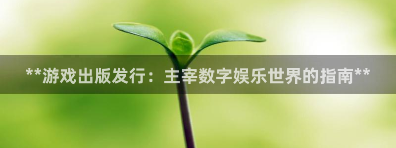 新城平台登录入口官网首页