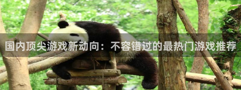 新城平台登录入口