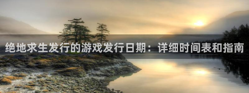 新城平台登录入口网址