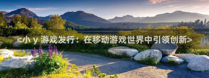 新城平台登录入口网站