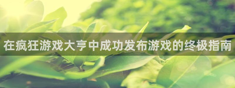 新城平台登录密码忘了怎么办