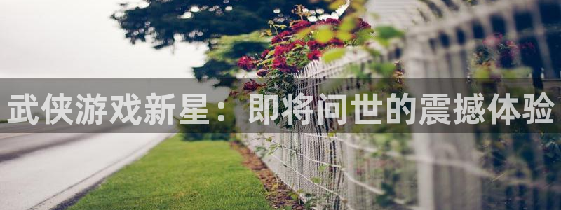新城平台怎么样
