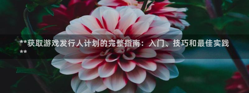 新城平台注册网址是多少