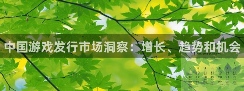 新城平台公司是国企吗