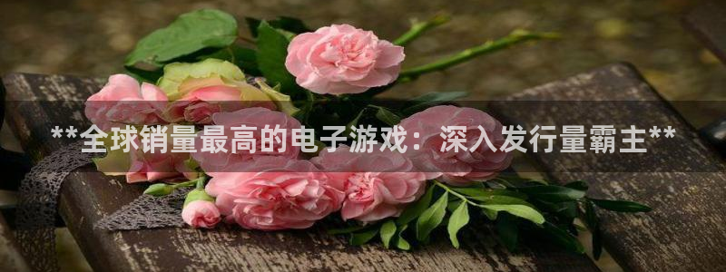 新城平台网址
