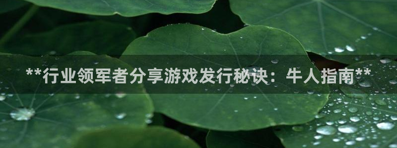 新城平台怎么样