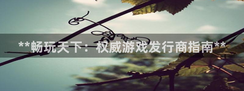 新城平台负责人
