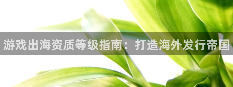 新城平台注册网址查询