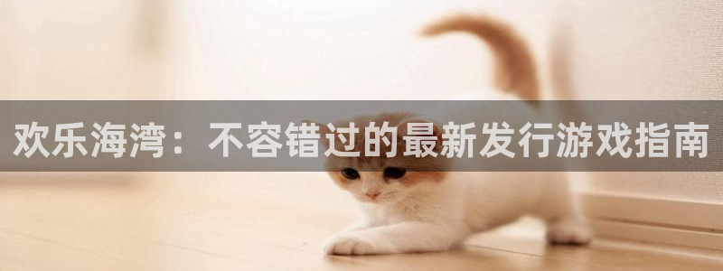 新城平台入.新城平台.全国联网是什么意思
