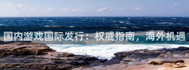 新城平台平台