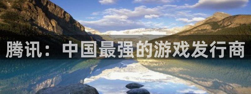 新城平台平台