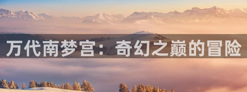 新城平台登录入口官网网址