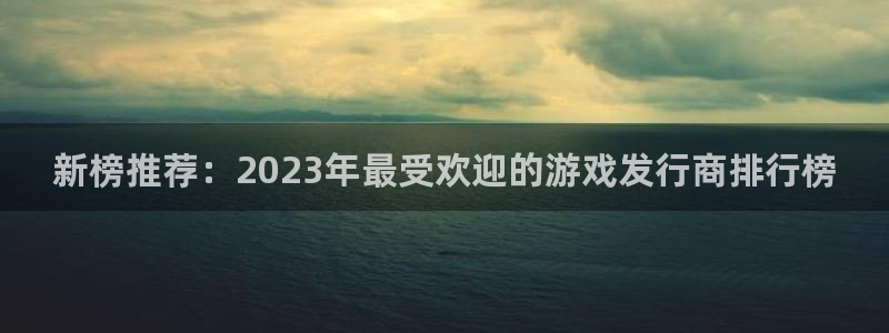 新城平台登录入口官网查询