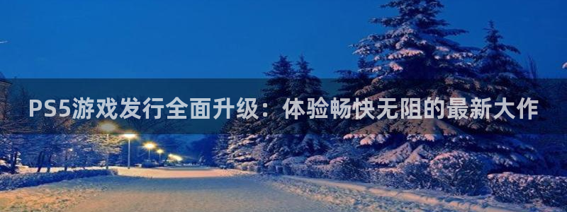 新城平台是干嘛的公司
