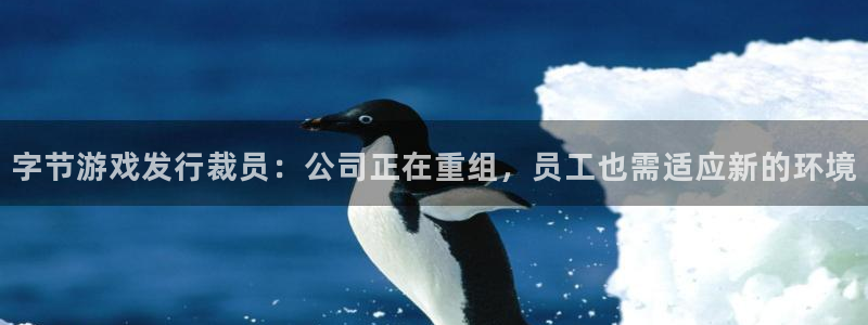 新城平台注册网址是多少