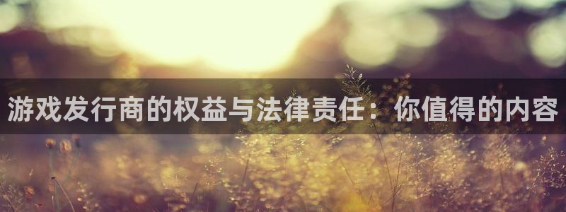 新城平台登录入口