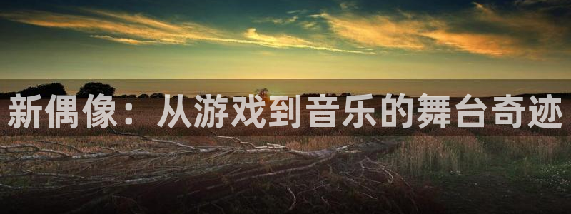 新城平台负责人是谁