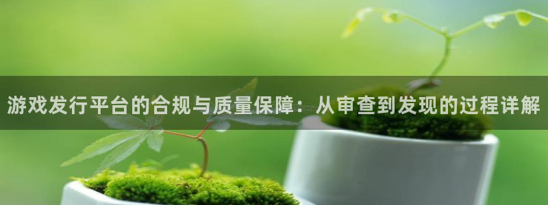 新城平台代理注册公司