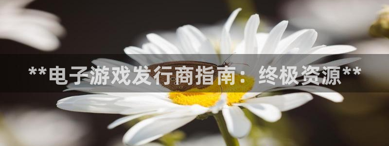 新城平台代理注册：**电子游戏发行商指南：终极资源**