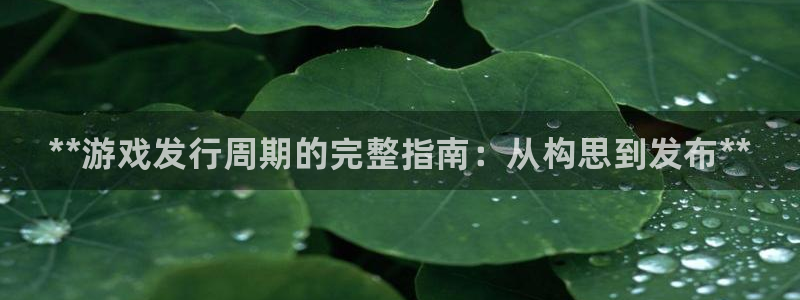 新城平台注册网址是什么：**游戏发行周期的完整指南：从构思到发布**