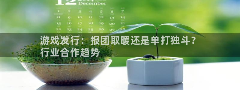新城平台江7O777：游戏发行：报团取暖还是单打独斗？
行业合作趋势