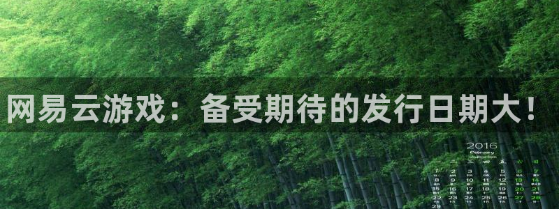 新城平台注册网址：网易云游戏：备受期待的发行日期大！
