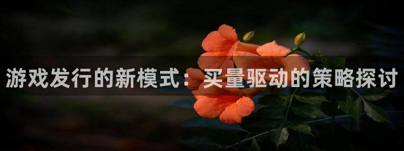 新城平台革7O777